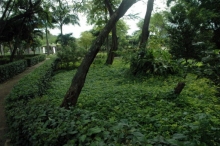 Imagen Parque Ecológico Mamey 